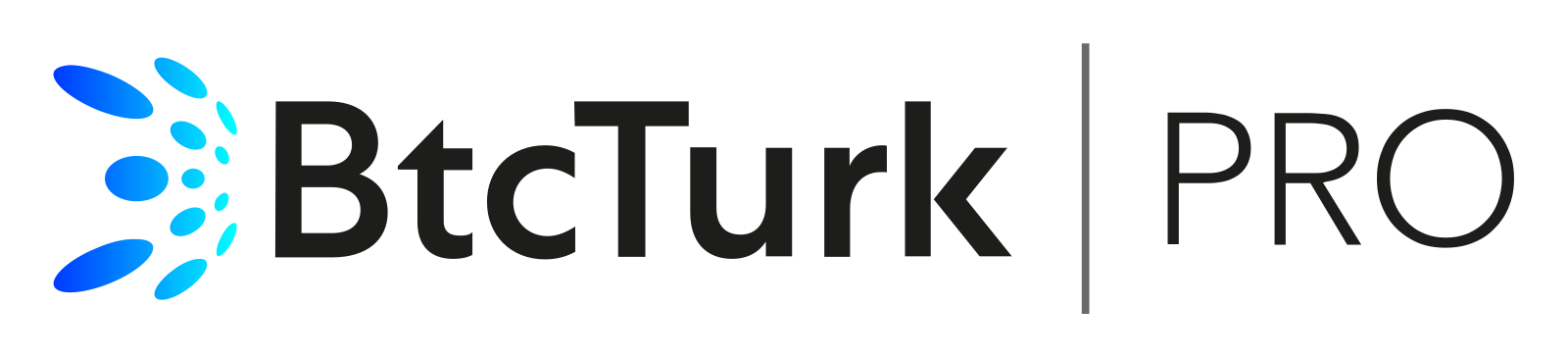 BtcTurk PRO